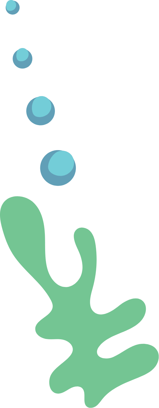 Flower Decoration